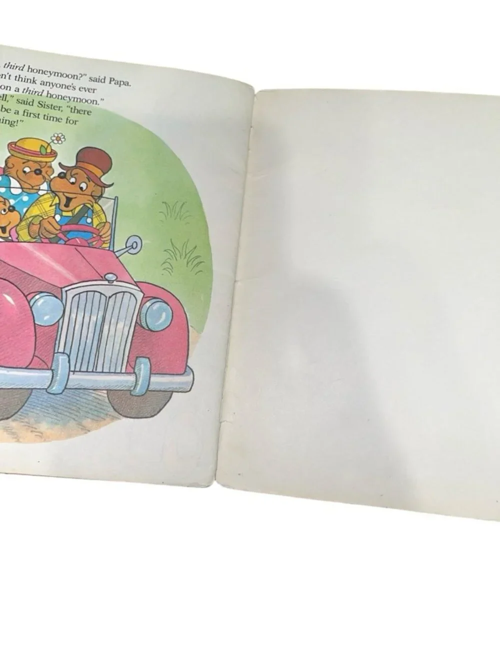 THE BERENSTAIN BEARS Children's Book Lot Includes Bible and More!